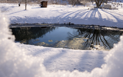 Welcome to Bubbling Springs Photography – Ashley Pulvermacher Frye McNamer