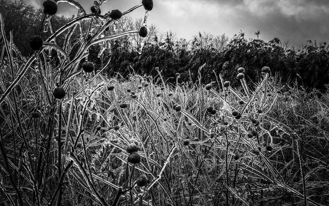 The In-Between Season